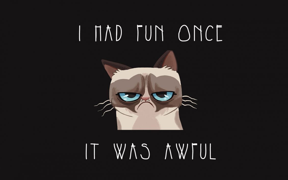 Download Wallpaper Funny cat - run once and it was awful
