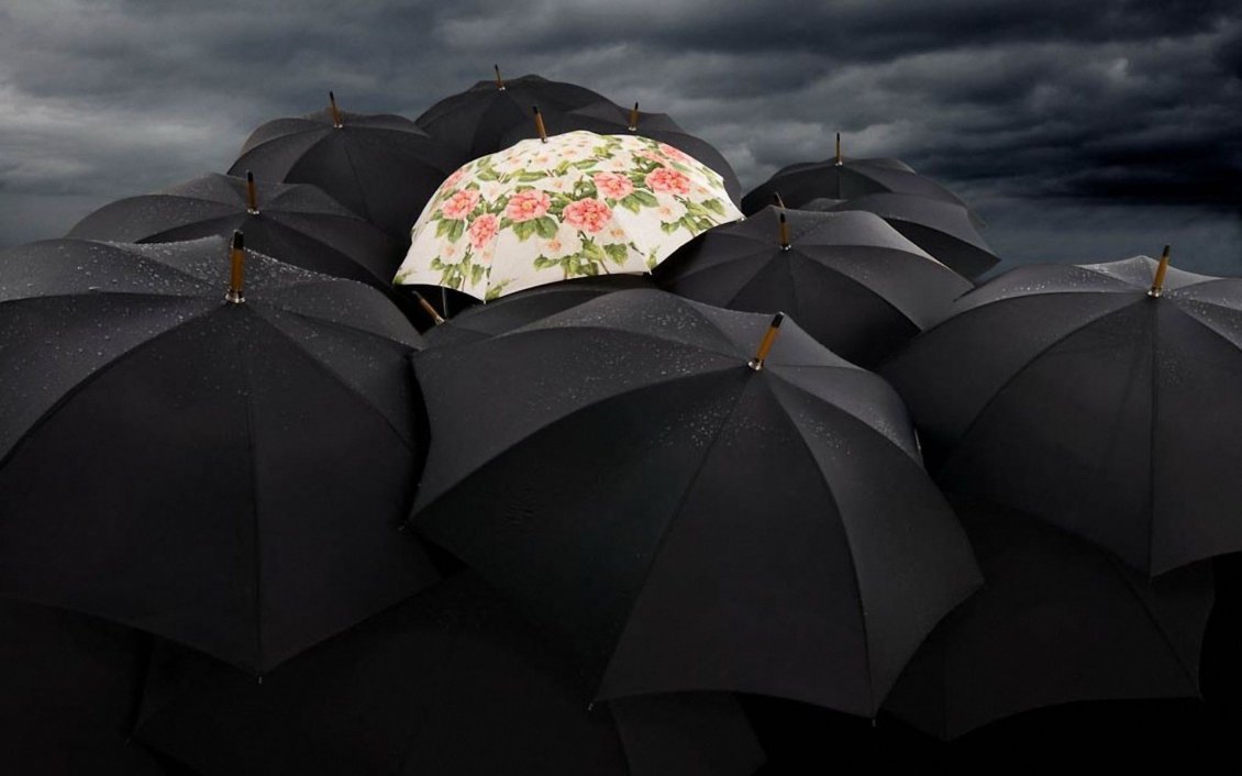 Download Wallpaper One coloured umbrella with flowers - black wallpaper