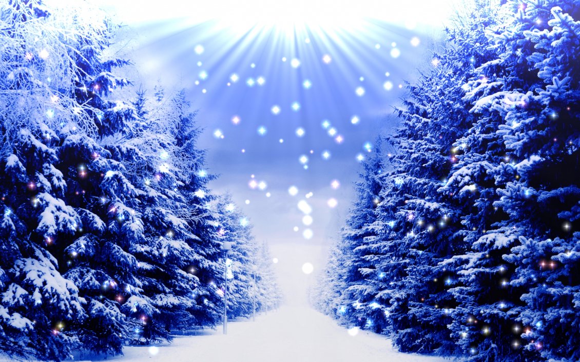 Download Wallpaper Blue christmas trees full with white snow