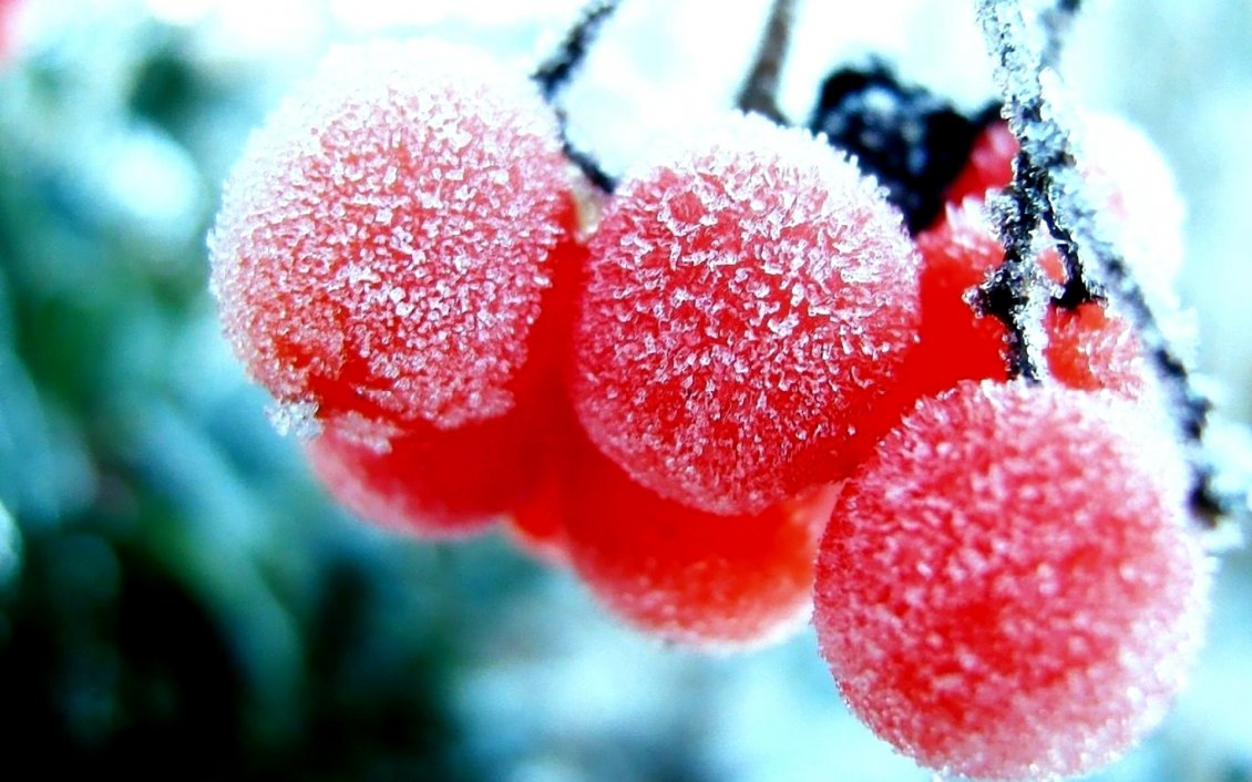Download Wallpaper 3D red frozen cranberries - delicious fruits in winter time