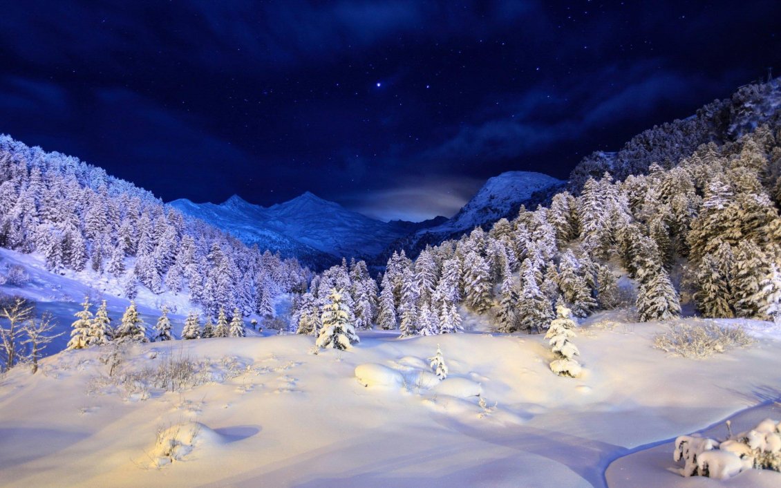 Download Wallpaper Wonderful trees full with snow - HD winter wallpaper