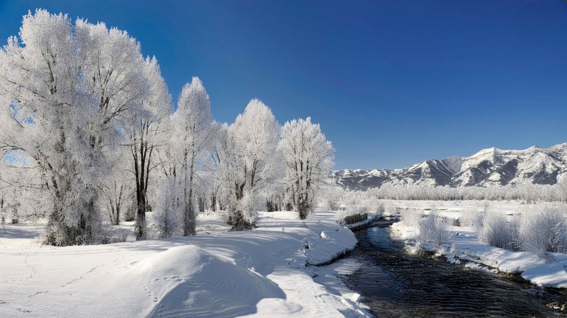 Download Wallpaper Frozen river - beautiful white winter landscape