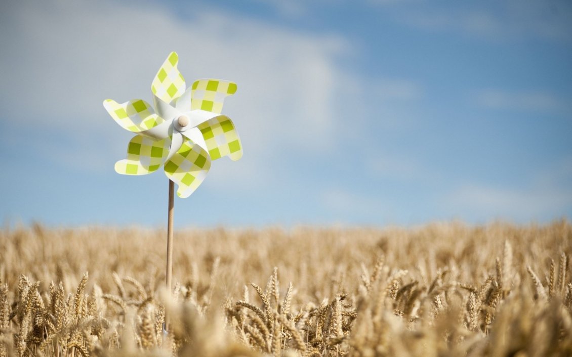 Download Wallpaper Coloured wind turbine in the wheat field - paper flower