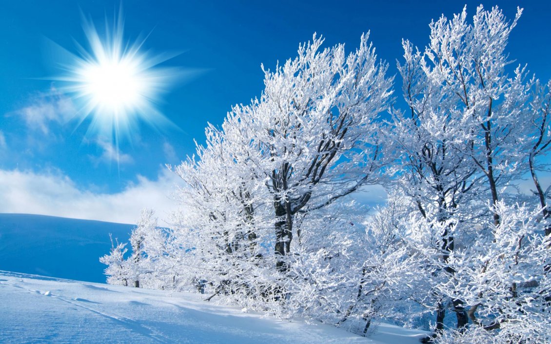 Download Wallpaper Sunny winter day on a cold season - HD wallpaper