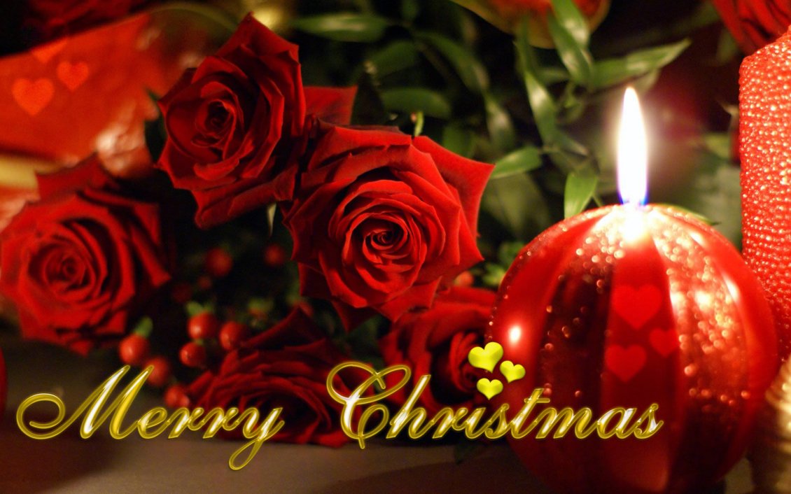 Download Wallpaper Red roses on a beautiful day of Christmas