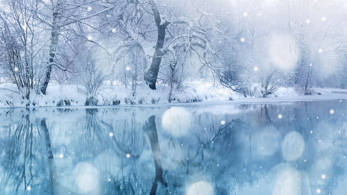 Download Wallpaper Cold winter day in the forest - mirror in the frozen lake