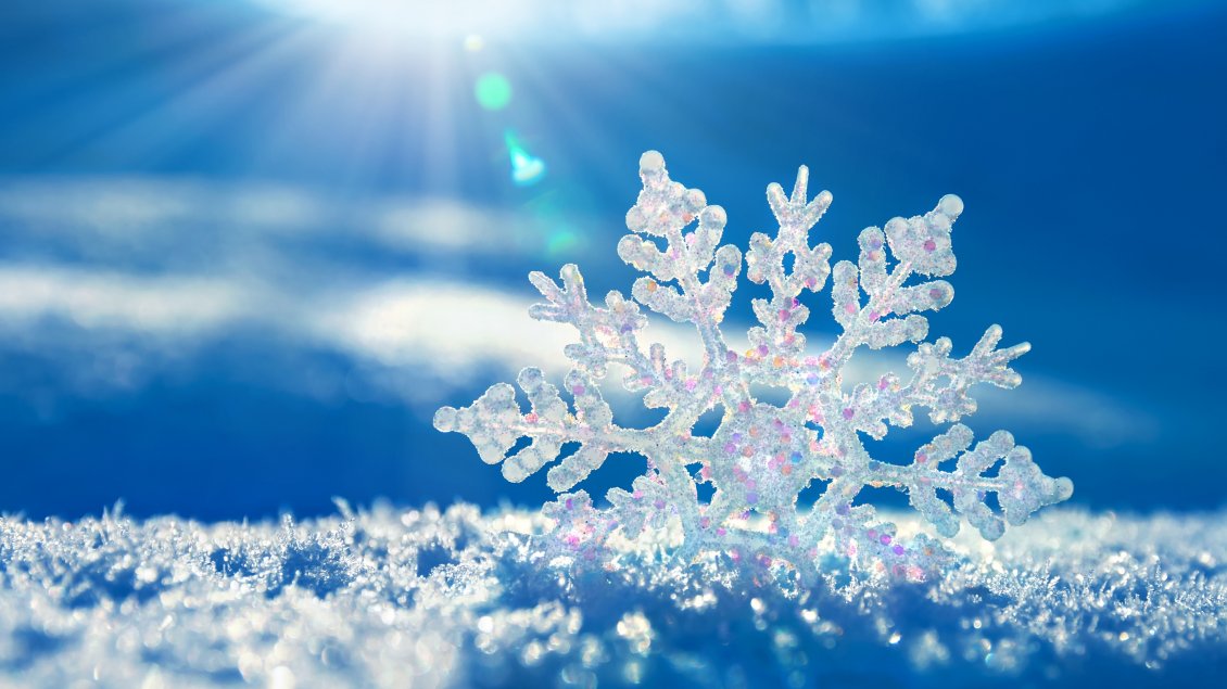 Download Wallpaper Beautiful 3D snowflake in the sunlight