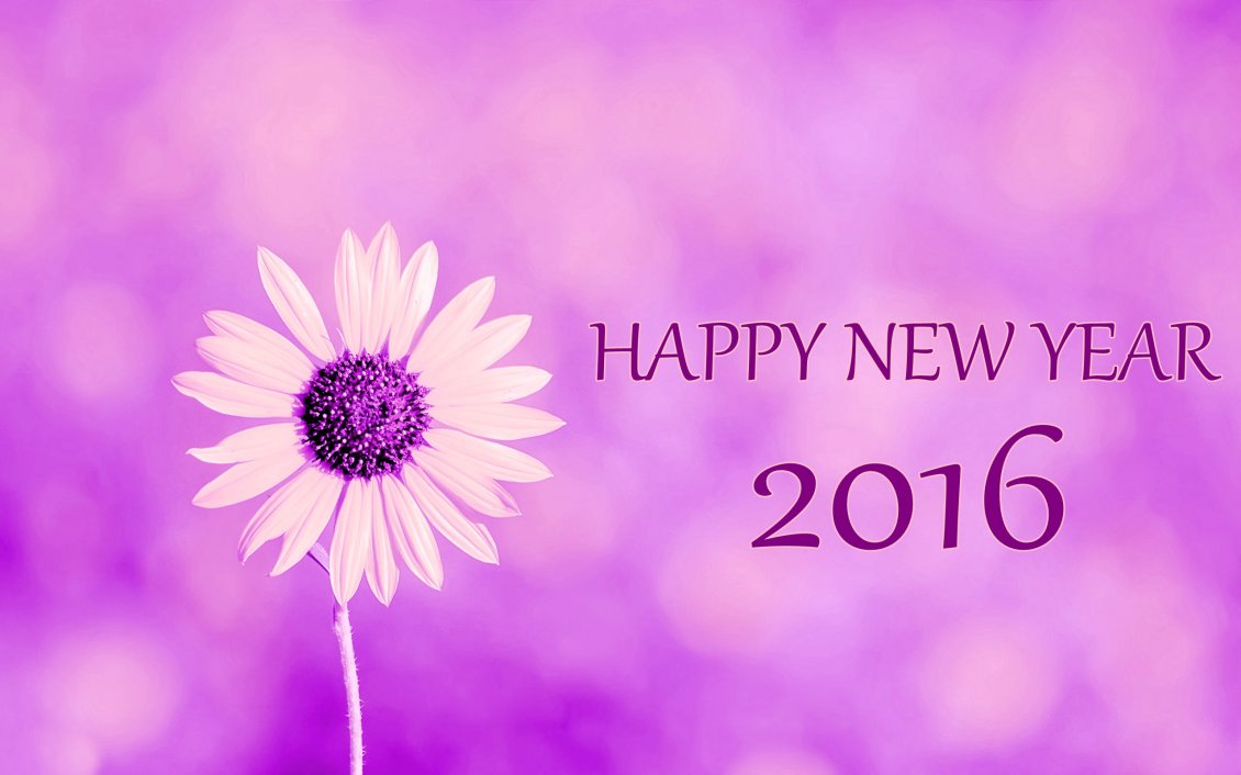 Download Wallpaper Purple flower power - Happy New Year 2016