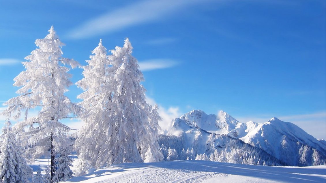 Download Wallpaper White beautiful winter time - cold season