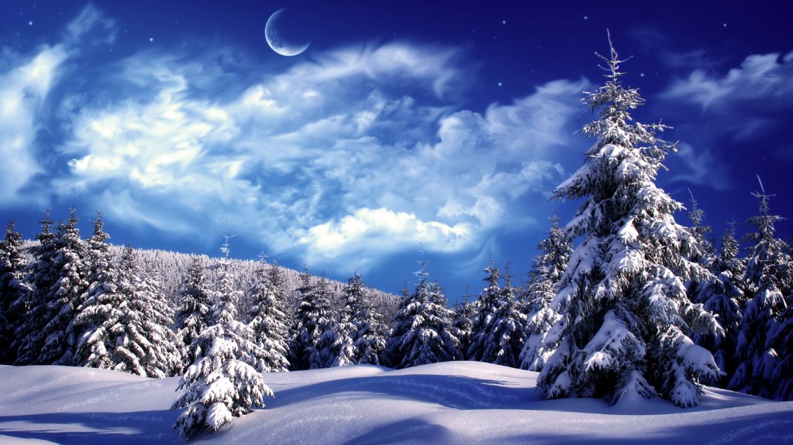 Download Wallpaper Blue cold winter night over the forest