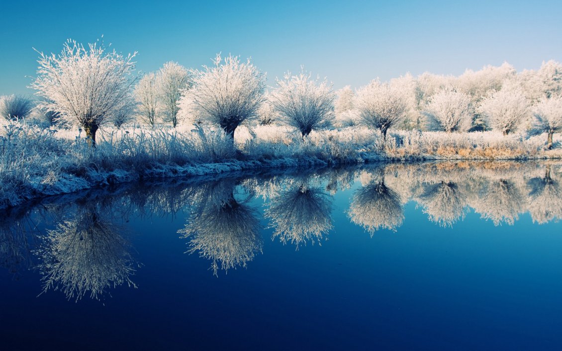 Download Wallpaper Frozen trees on the edge of the lake - beautiful mirror