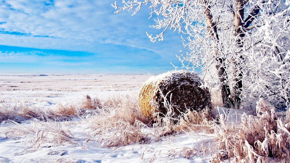 Download Wallpaper Winter landscape - beautiful white field