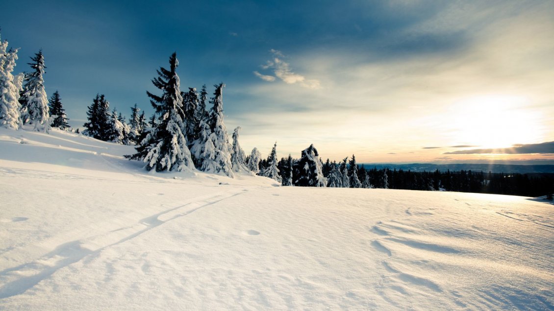 Download Wallpaper Good morning sunshine - cold winter day at the mountain