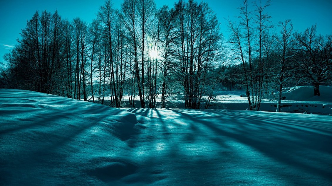 Download Wallpaper Blue and green winter light - HD wallpaper
