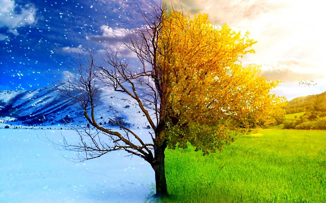 Download Wallpaper Winter and spring - two beautiful seasons