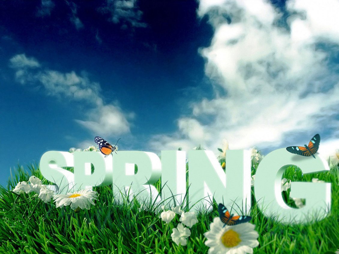 Download Wallpaper Spring season is coming - beautiful butterflies and nature