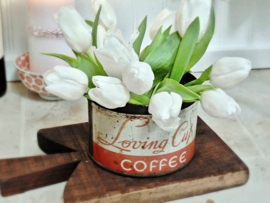 Download Wallpaper Beautiful white tulips in an old coffee can