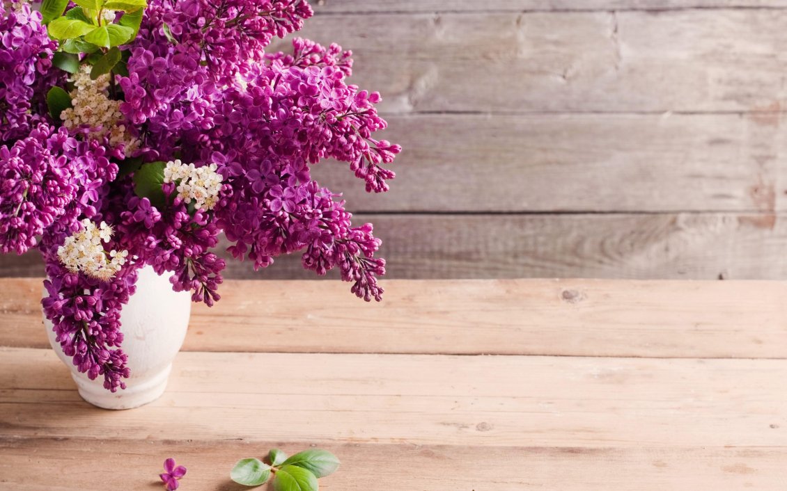 Download Wallpaper The most perfumed flowers in spring season - beautiful lilac