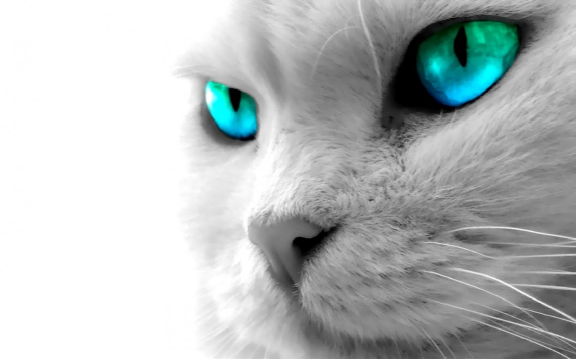 Download Wallpaper Beautiful cat with blue digital eye - HD wallpaper