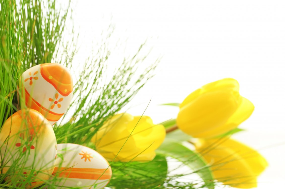 Download Wallpaper Yellow tulips and beautiful coloured egg - Happy Easter