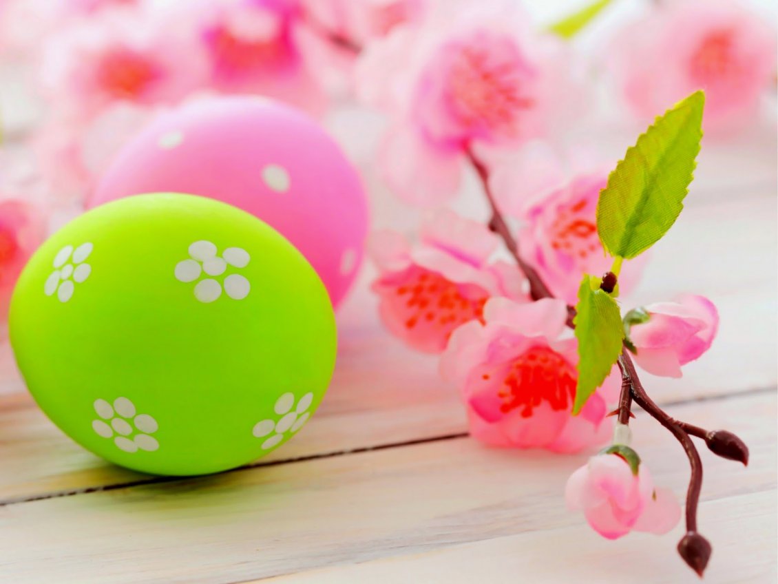 Download Wallpaper Blossom tree branch and colourful Easter eggs - HD wallpaper