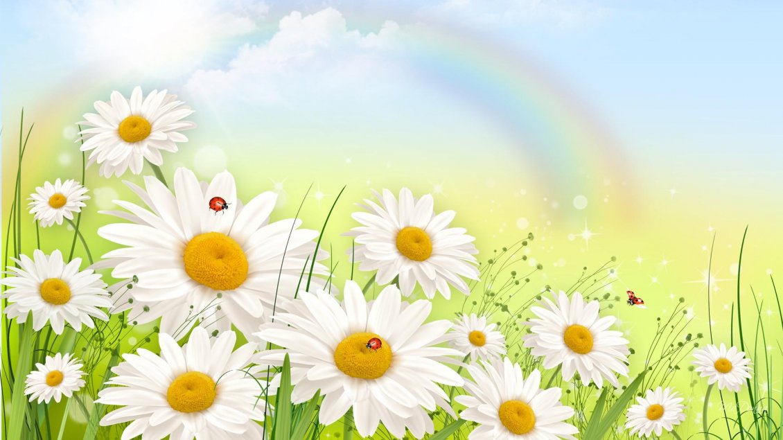 Download Wallpaper Spring flowers in the garden- ladybugs and beautiful rainbow