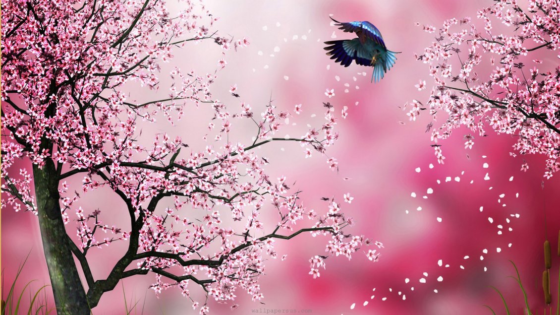 Download Wallpaper Bird dancing through the spring flowers