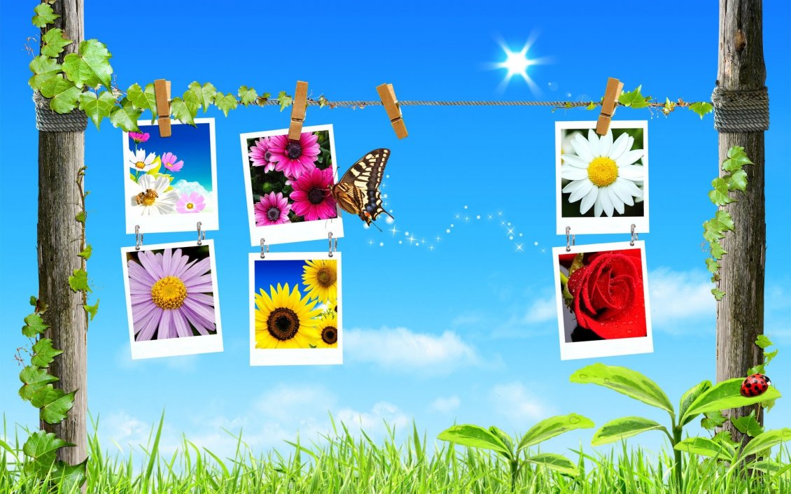 Download Wallpaper Photos with flowers in the spring season