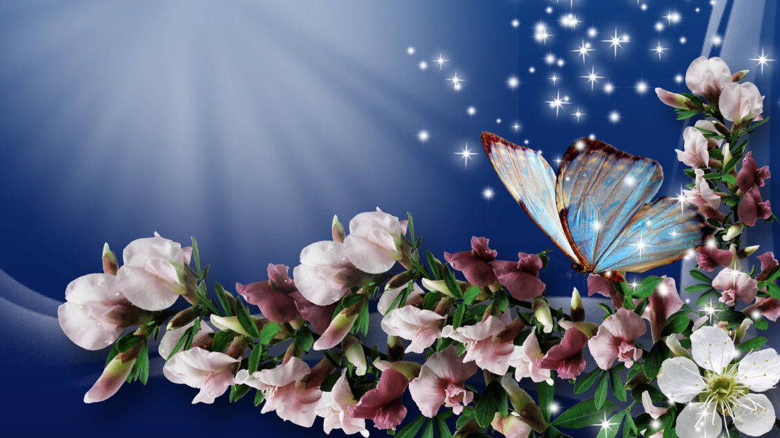 Download Wallpaper Butterfly on the beautiful flowers