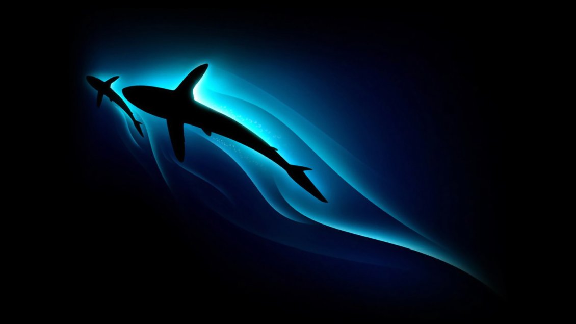 Download Wallpaper Mother and son - beautiful shark in the dark water