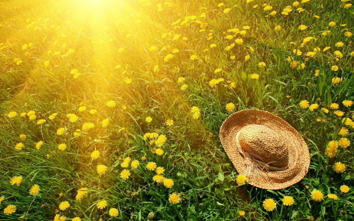 Download Wallpaper Summer hat on a field full with dandelions