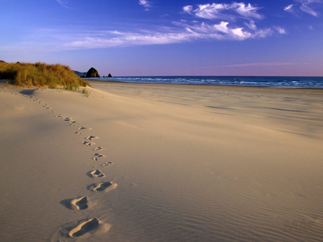 Download Wallpaper Footprints in the beach sand - Beautiful summer holiday