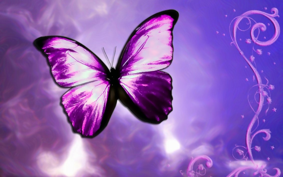 Download Wallpaper Purple butterfly - Vector design
