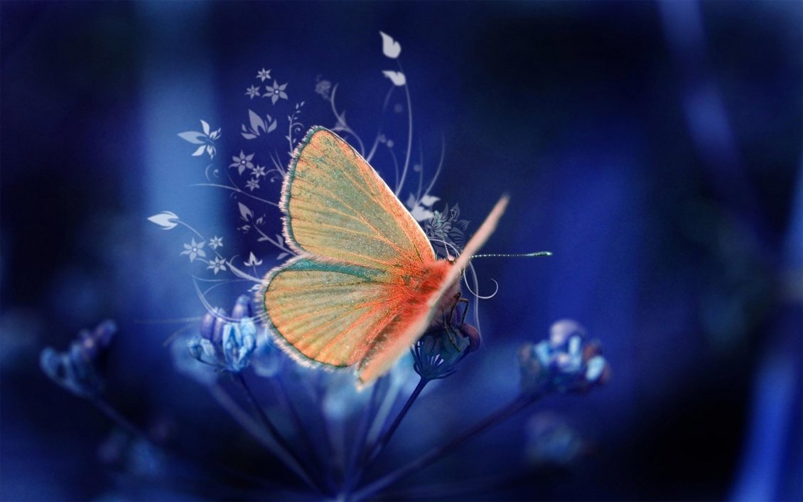 Download Wallpaper Wonderful orange butterfly on a beautiful flower -art design