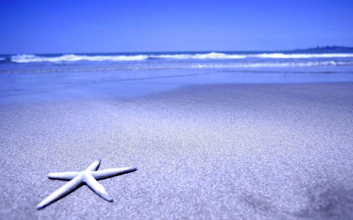 Download Wallpaper Starfish on the beach - summer holiday