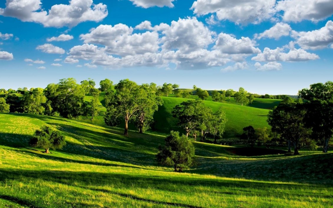 Download Wallpaper Green nature - trees on the field and beautiful blue sky