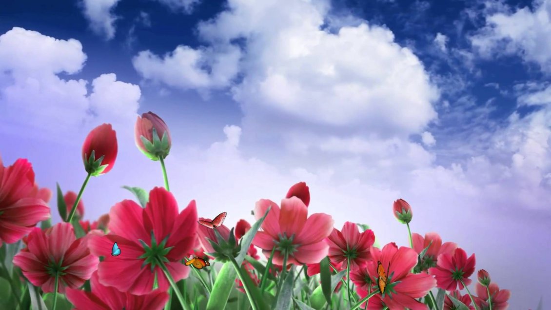 Download Wallpaper Red and pink flowers - wonderful nature
