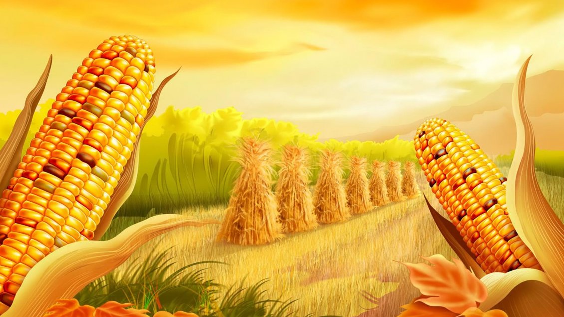 Download Wallpaper Corn ready to harvest - Golden HD wallpaper