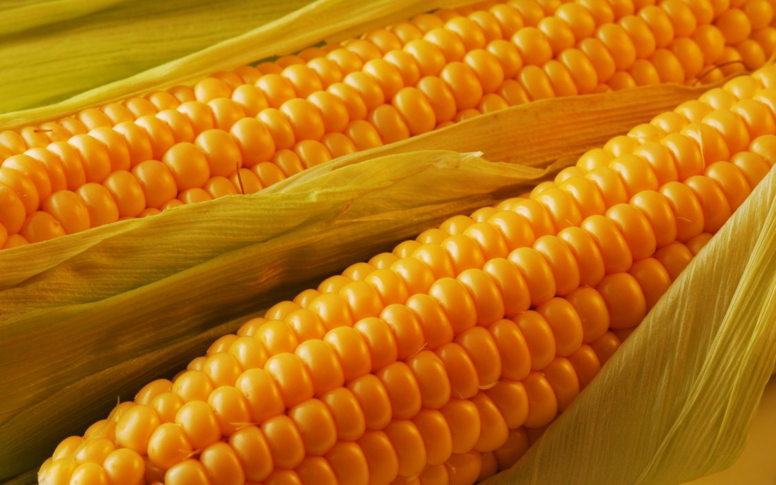 Download Wallpaper Delicious golden corn ready to eat - HD wallpaper