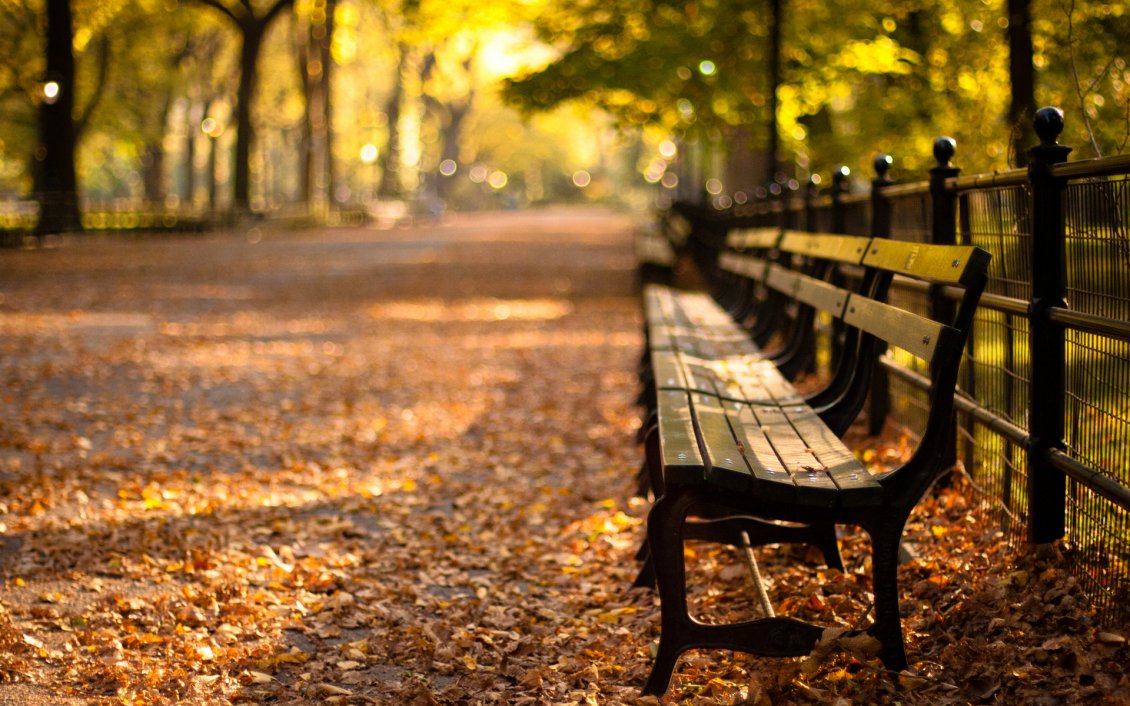 Download Wallpaper Relaxing time on a bench in the park - Autumn season