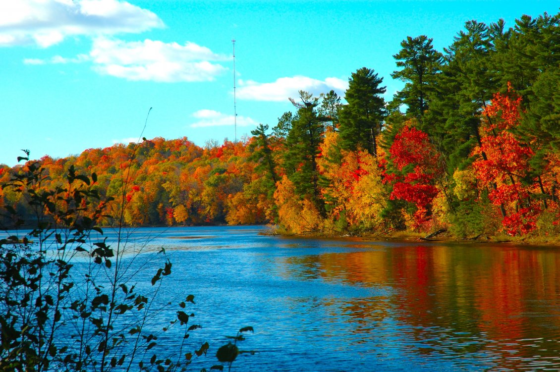 Download Wallpaper Autumn season is wonderful - amber trees and lake
