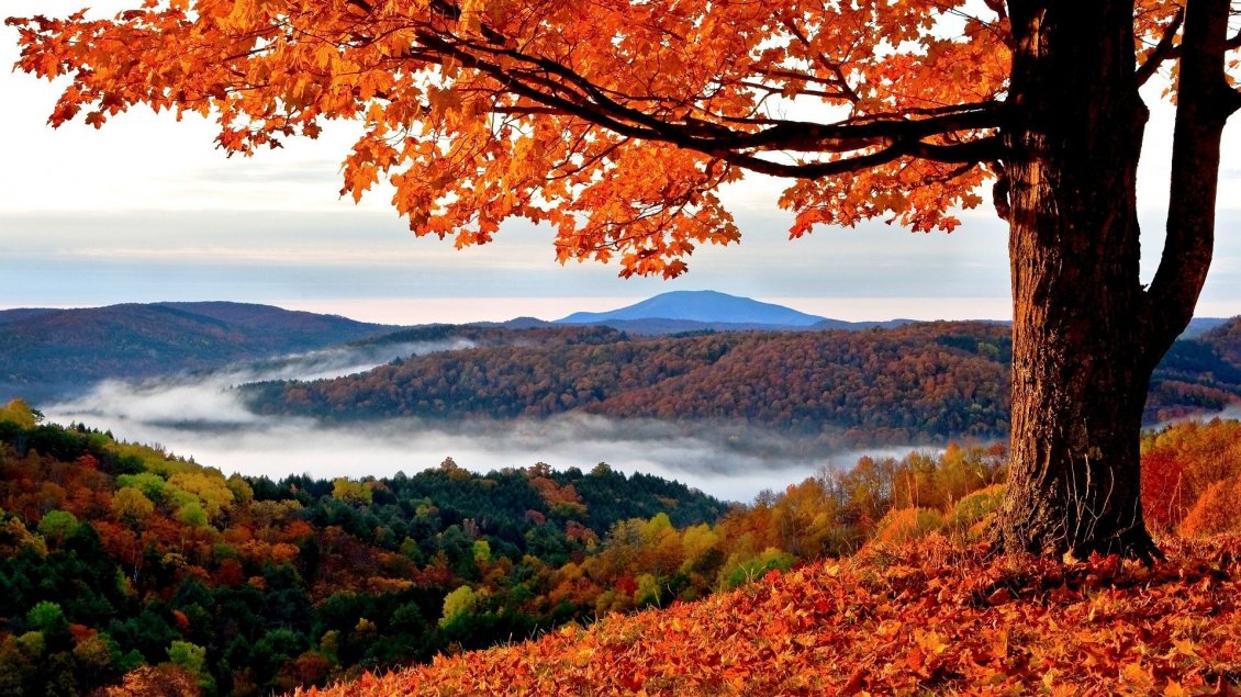 Download Wallpaper Wonderful nature landscape - Autumn season is the best
