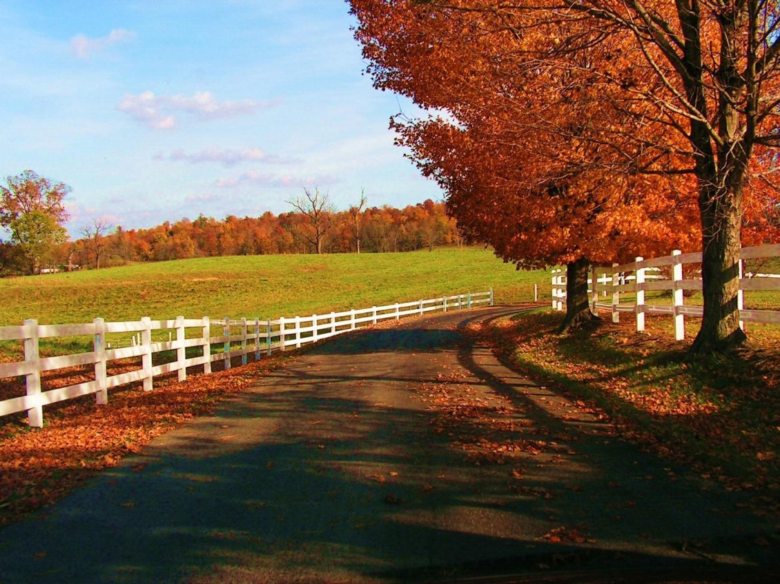 Download Wallpaper Country path - Wonderful Autumn season