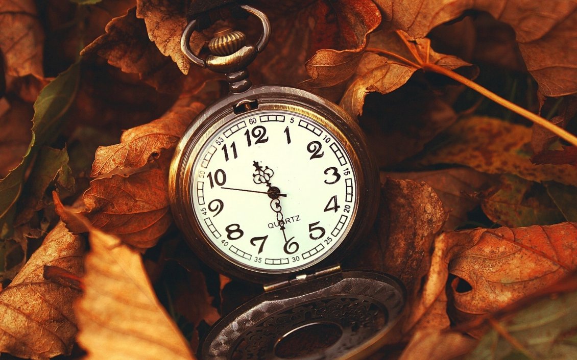 Download Wallpaper Quartz watch under the Autumn leaves - HD wallpaper