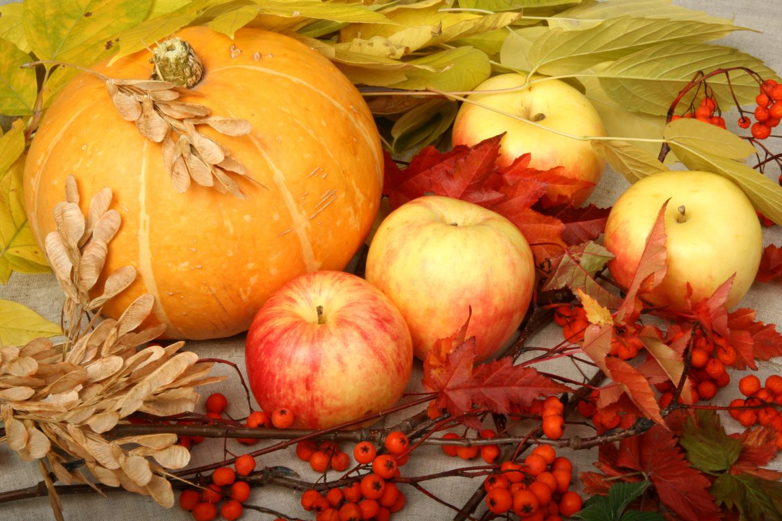 Download Wallpaper Delicious and sweet apples and pumpkins  - Autumn harvest