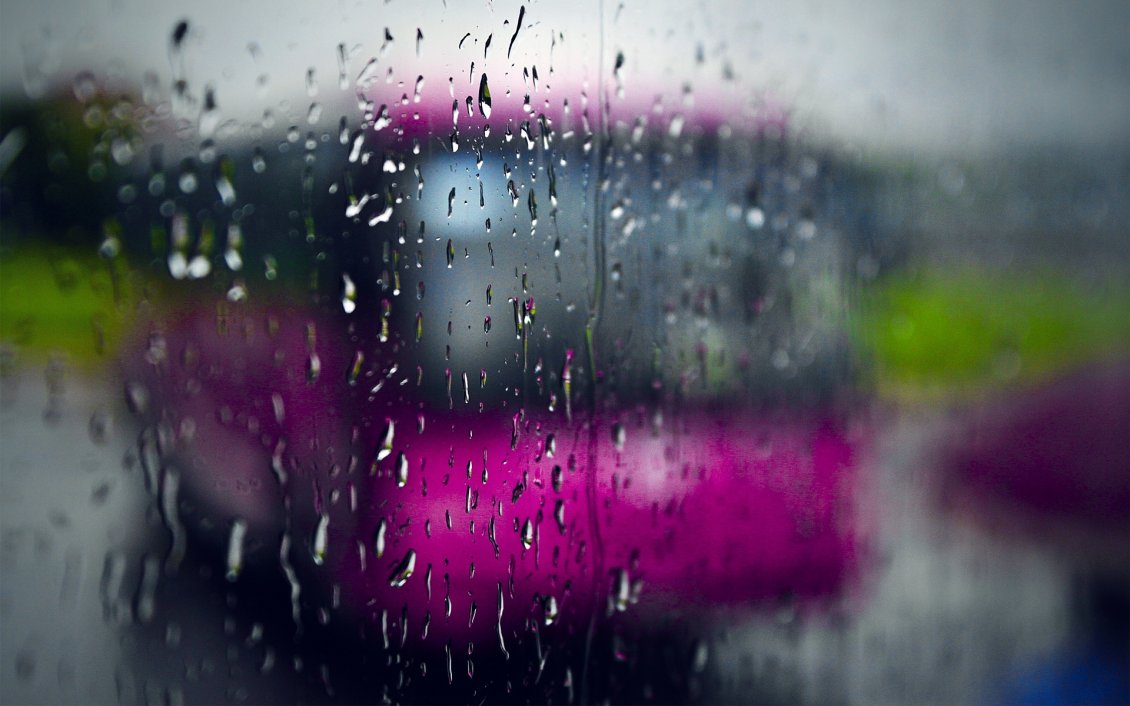 Download Wallpaper Pink bus in a rainy Autumn day - HD wallpaper