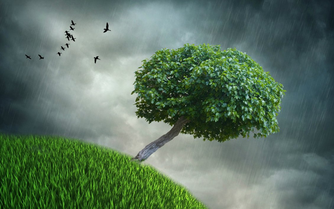 Download Wallpaper Rainy day - Wonderful green tree