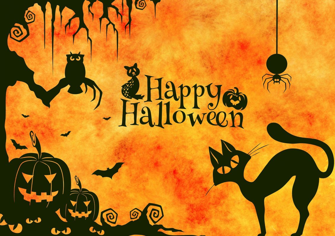 Download Wallpaper Dark cat and spiders - Happy Halloween night