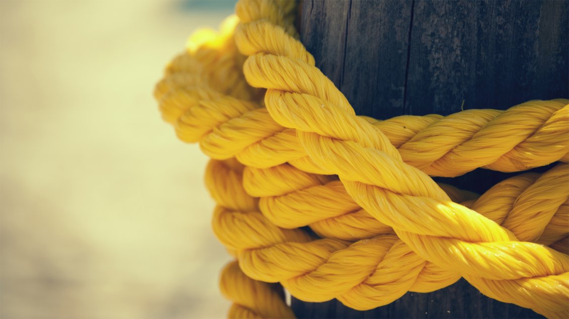 Download Wallpaper Macro yellow rope - HD wallpaper