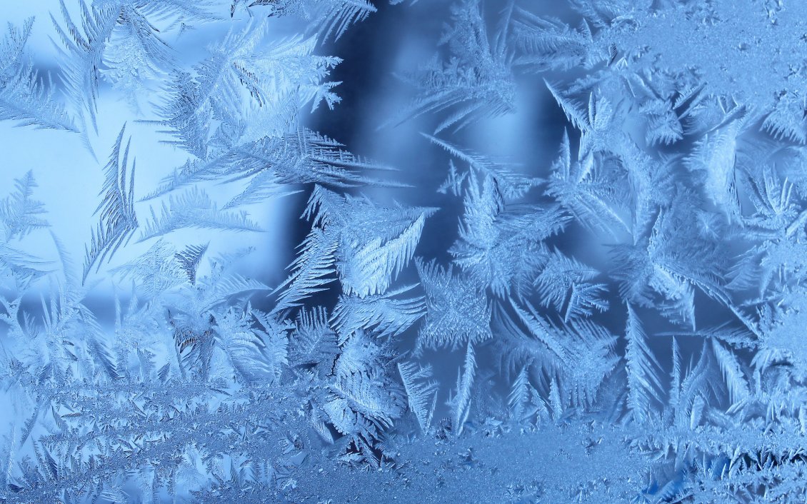 Download Wallpaper Frozen winter leaves - HD wallpaper